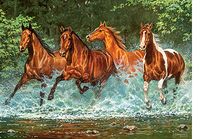 Puzzle Chevaux Cascade - 300 pièces - Castorland 030361