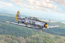 Maquette d'un avion militaire : T-6G Texan 1/48 - Italeri 92652