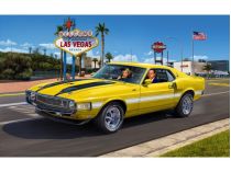 Maquette automobile : 70 Shelby Mustang GT500 1/25- Revell 07729  7729