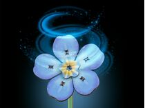 Maquette en bois pour débutant : Fleurs en Bois : Festival fleuri - Revell 00630