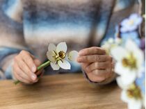 Maquette en bois pour débutant : Fleurs en Bois : Festival fleuri - Revell 00630