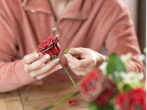 Maquette en bois pour débutant : Fleurs en Bois : Rêve de Roses - Revell 00631