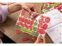 Maquette en bois pour débutant : Fleurs en Bois : Rêve de Roses - Revell 00631