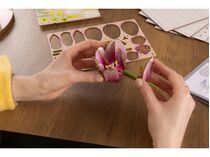 Maquette en bois pour débutant : Fleurs en Bois : Jardin floral - Revell 00632
