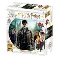 Puzzle  prime 3D Harry potter - Ron Hermione Harry 300 PCS - MER-58270