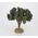 Olivier avec olives 12cm pour crèches provençales
- FR-ATB69590