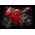 Maquette kit moto 1:4 de Pocher - la Ducati Superbike 1299 Panigale S