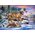 Puzzle Pays des loups - 500 pièces - Castorland 53049