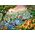 Puzzle Jungle river - 500 pièces - Castorland 52141