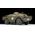 Maquette militaire : BRDM-2 - 1:35 - Zvezda 3638 03638