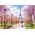 Puzzle promenage dans Paris - 1000 pièces - Castorland 104369