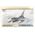 Maquette avion militaire : Lockheed F-16C (Block 25/32) - 1:48 - Tamiya 61101