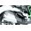 Maquette moto : Kawasaki Ninja H2 (Pre-colored Edition) - 1:9 - Meng MT002s MT-002s