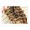Maquette en bois drakkar : Viking - 1/75 - Artesania Latina 19001-N
