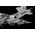 Maquette avion militaire : Su-25 Frogfoot 1/48 - Zvezda 4807 04807