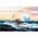 Maquette Sous-marin allemand Type VII C/41 - Revell 5154