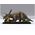Puzzle 3D : Jurassic World Dominion - Triceratops - Revell 00242