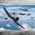 Maquette d'avion : F4U-1D Corsair 1/72 - Forces Of Valor 873011A