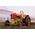 Maquette végicule agricole Tracteur Zetor 25 1/48 - CMK 08062