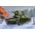 Maquette militaire : Tank soviétique lourd T-100Z 1/35 - Trumpeter 9591