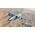 Maquette avion de chasse : AMX Ghibli 1/72 - Italeri 1460