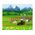 Maquette Easy-Click Tracteur : Calendrier de l'Avent Tracteur RC Claas Axion 960 - Revell 01053