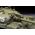 Maquette militaire : T-62 Version 1974/1975 1/35 - Zvezda 3673