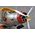 Maquette avion militaire : TBD-1 Devastator 1/32 - Trumpeter 02226