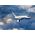 Coffret cadeau maquette avion civil : Model Set Boeing 737-800 1/288 - Revell 63809