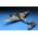 Maquette avion militaire : Messerschmitt Me410A-1 High Speed Bomber 1/48 - Meng LS-003