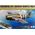 Maquette avion : Grumman FM-1 Wildcat/Martlet Mk.V 1/48 - Tamiya 61126