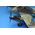 Maquette avion militaire : Messerschmitt Me410A-1 High Speed Bomber 1/48 - Meng LS-003