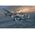 Coffret cadeau maquette avion militaire : Model set Arado AR-240 1/72 - Revell 63798
