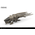Maquette science fiction : Dune Harkonnen Ornithopter - Meng MMS-014