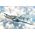 Maquette d'avion militaire : Messerschmitt Bf110C-3/C-4 1/72 - Italeri 049