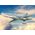Maquette avion militaire : Tu-22M2 Backfire B 1/72 - Italeri 1440