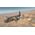 Maquette bombardier WWII : A-20B/C Havoc (Boston III) 1/48 - Italeri 2656