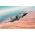 Maquette militaire : Mirage III E 1/48 - Italeri 2816