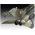 Maquette avion militaire : 50e anniversaire Tornado 1/72 - Revell 03801