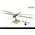 Maquette science fiction : Ornithopter Atreides Dune 1/72 - Meng DS-007