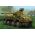 Maquette militaire : Sd.Kfz. 234/2 Puma - 1:76 - Revell 63288