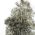 Végétation miniature : Buisson / arbre miniature fantaisie noir et blanc - Ak Interactive AK8265