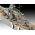 Maquette navire : The Legendary Bismarck 1/700 et 1/1200 - Revell 05637  5637