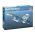 Maquette d'avion militaire : Su-33 Flanker-D 1/72 - Italeri 0197