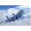 Maquette d'avion militaire : SU - 27D SEA Flanker 1/72 - Italeri 0197