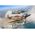 MaquettesCoffret cadeau avions : Model set Supermarine Spitfire Mk.Ia & Hawker Hurricane Mk.I 1/144 - Revell 63771 avions : Supermarine Spitfire Mk.Ia & Hawker Hurricane Mk.I 1/144 - Revell 03771