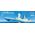 Maquette Chinese Type-055 Guided-Missile Destroyer - 1/700 - Meng PS-009