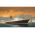 Maquette de navire de sauvetage : Queen Elizabeth II 1/1200 - Revell 05806 5806