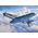 Maquette avion militaire : Model set Do335 Pfeil 1/48 - Revell 63795