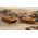 Italeri 07518 : SHERMAN M4 A3 - Special Wargames - Set 2x chars - 1/72